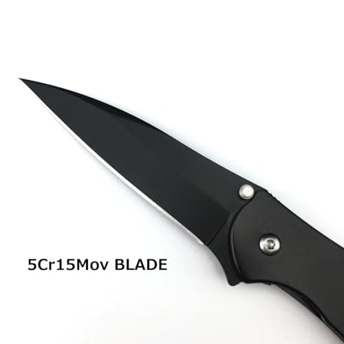 Black Leek 2.9 Inch 5Cr15Mov Assisted Opening Knife, Flipper Lock, Deep Carry Clip for Camping