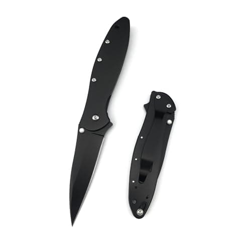 Black Leek 2.9 Inch 5Cr15Mov Assisted Opening Knife, Flipper Lock, Deep Carry Clip for Camping