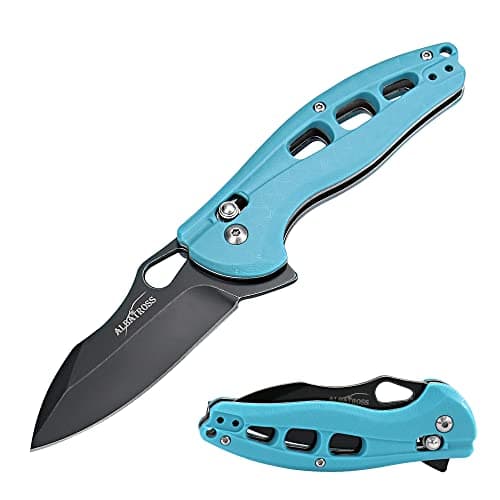 ALBATROSS FK036SC-BK Satin Blade FRN Handle Assisted Open Folding Knife — B-Blue/Black