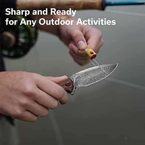 CIVIVI Damascus Blade Foldable Knife, 2.98" Guibourtia Wood, Ideal for Camping and Hiking C18026C-DS1