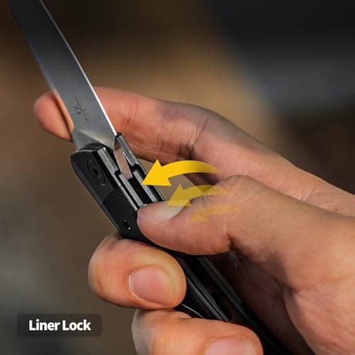 Kizer Mini Momo EDC Pocket Knife, 3.2" Nitro V Blade V3663M1