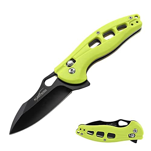 ALBATROSS FK036SC-BK Satin Blade FRN Handle Assisted Open Folding Knife — C-Green/Black