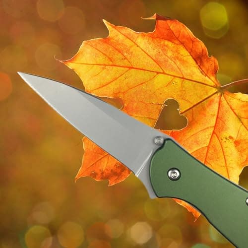 Green Leek Assisted Opening Knife, 5Cr15Mov Blade, Stainless Steel Handle, Flipper Lock