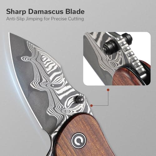 CIVIVI Gordo Folding Pocket Knife, 2.51" Damascus Blade, Utility Knife C22018C-DS1