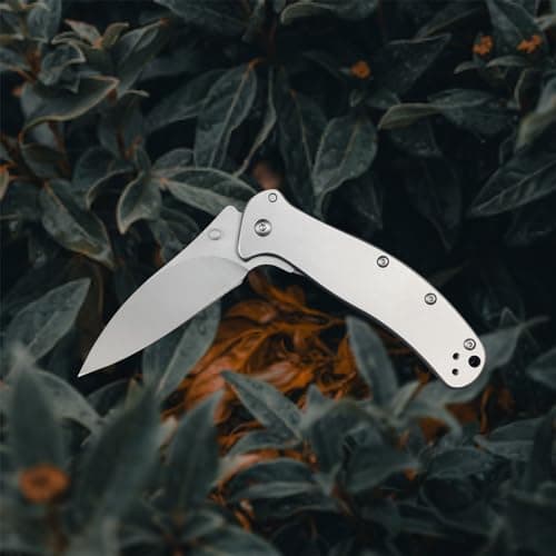 HUAAO 8Cr13MoV Flipper Camping Knife, 2.6" EDC Pocket Knife with Handle Clip and Lock