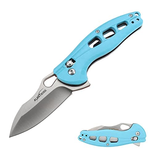 ALBATROSS FK036SC-BK Satin Blade FRN Handle Assisted Open Folding Knife — G-Blue/Satin