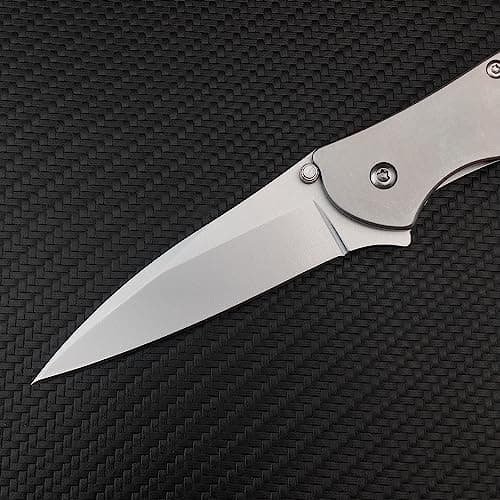 Everyday Carry Leek Pocket Knife, 2.8 inch 5Cr15 MoV Blade, Flipper Open, Frame Lock, Deep CarryClip