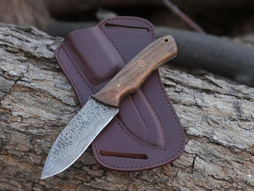 Predator Hunter 9" Damascus Steel Fixed Blade Skinning Knife (Exotic Wood Handle) — Walnut