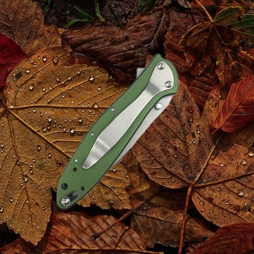Green Leek Assisted Opening Knife, 5Cr15Mov Blade, Stainless Steel Handle, Flipper Lock