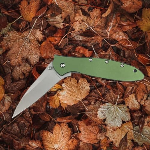 Green Leek Assisted Opening Knife, 5Cr15Mov Blade, Stainless Steel Handle, Flipper Lock