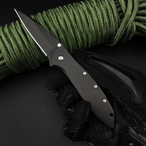 Black Leek 2.9 Inch 5Cr15Mov Assisted Opening Knife, Flipper Lock, Deep Carry Clip for Camping