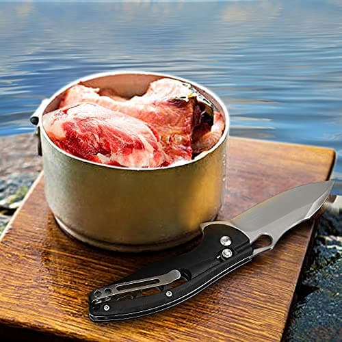 ALBATROSS FK036SC-BK Satin Blade FRN Handle Assisted Open Folding Knife