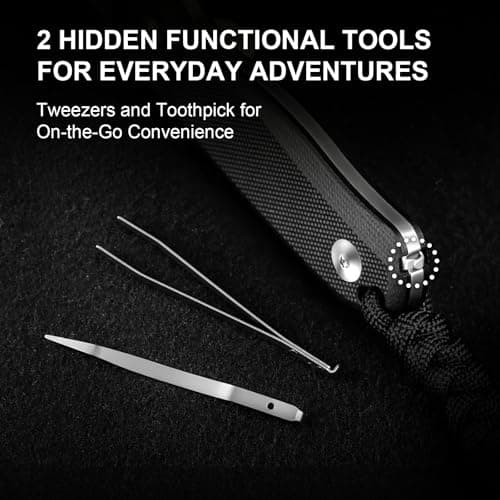 Kizer Drop Bear D2 Satin EDC Knife, Black G10 Handle, Outdoor Survival Tool