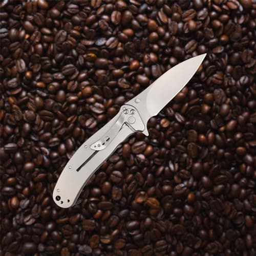 HUAAO 8Cr13MoV Flipper Camping Knife, 2.6" EDC Pocket Knife with Handle Clip and Lock