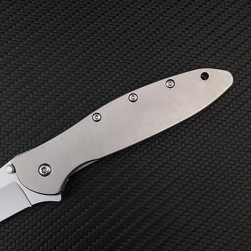 Everyday Carry Leek Pocket Knife, 2.8 inch 5Cr15 MoV Blade, Flipper Open, Frame Lock, Deep CarryClip