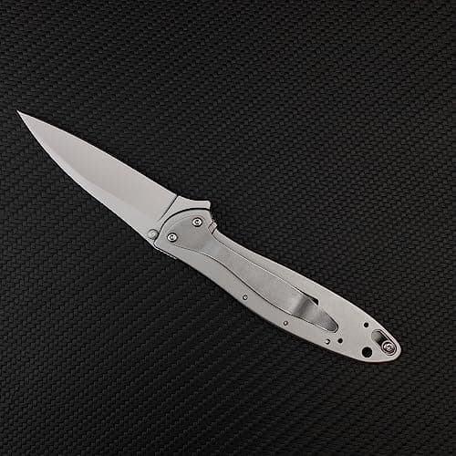 Everyday Carry Leek Pocket Knife, 2.8 inch 5Cr15 MoV Blade, Flipper Open, Frame Lock, Deep CarryClip