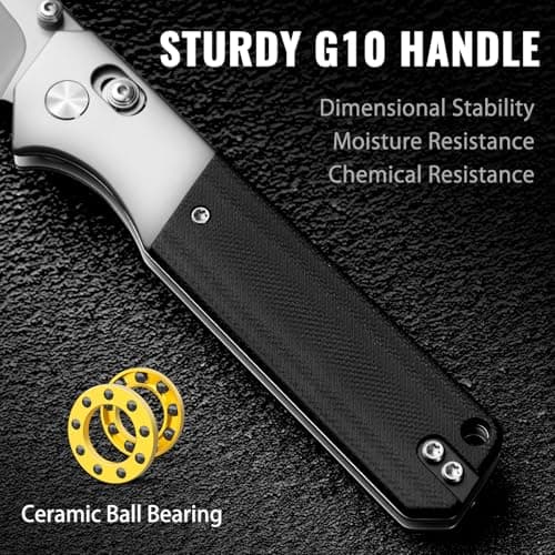 NedFoss BEAST Pocket Knife, 14C28N Steel, Axis Lock, G10 Handle, Lightweight camping gift