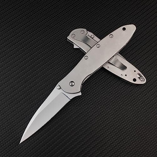 Everyday Carry Leek Pocket Knife, 2.8 inch 5Cr15 MoV Blade, Flipper Open, Frame Lock, Deep CarryClip