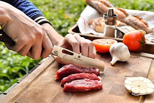 4.8" Sharp 440A Stainless Steel Folding Chef Knife with Wood Handle for Outdoor Cooking