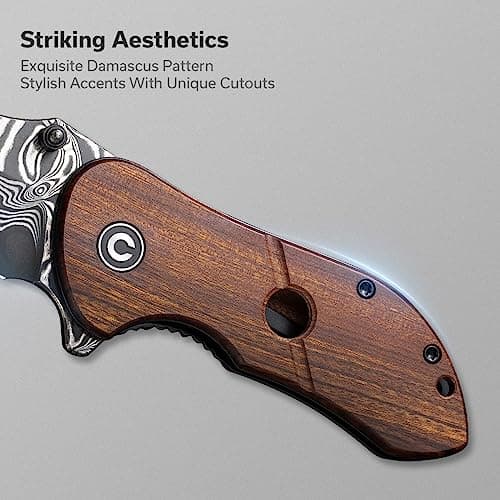 CIVIVI Gordo Folding Pocket Knife, 2.51" Damascus Blade, Utility Knife C22018C-DS1